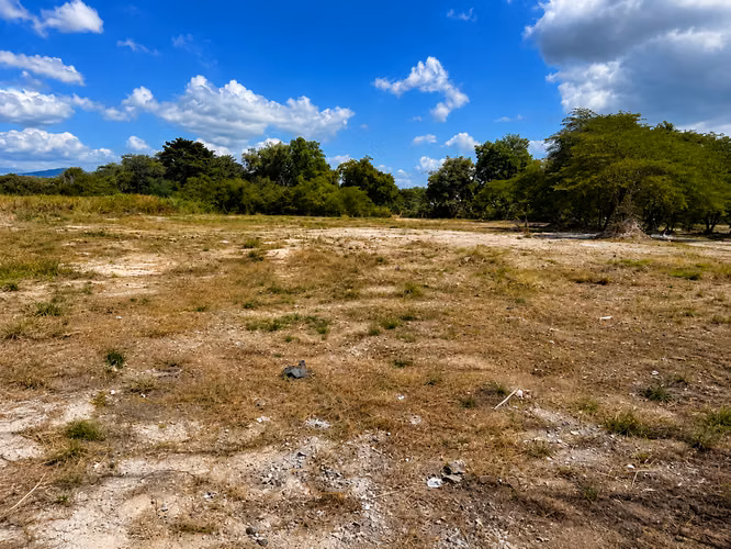 Strategic Land for Sale – 24 de Diciembre, Felipillo