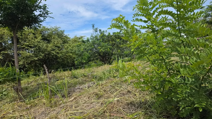 LAND FOR SALE - HIGH OF FAGGOT