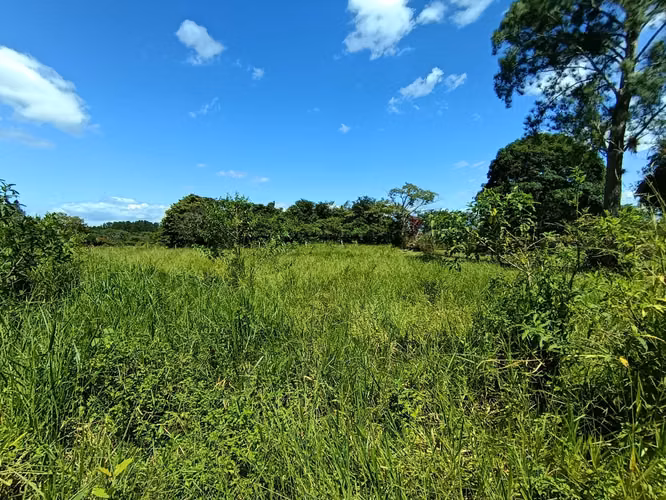 Se vende lote de terreno en Potrerillos Abajo, Dolega, Chiriquí - Imagen 5
