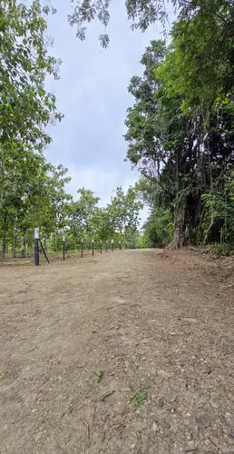 LOTES FRENTE AL LAGO GATUN- FINANCIAMIENTO DIRECTO DESDE 200 QUINCENAL