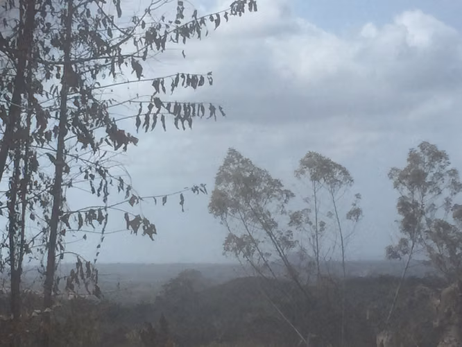 VENDO TERRENO EN RIO CONGO, EL ARADO IDEAL PARA AGRICULTURA O GALLINERA - G