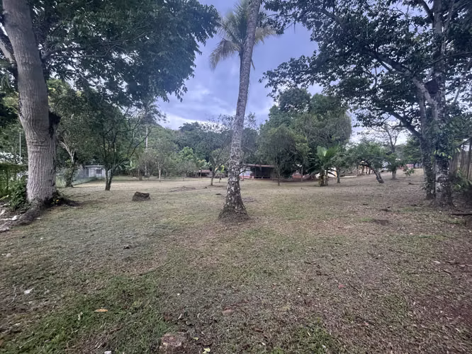 VENTA Terreno de 12354m2 en Nvo Emperador, El Carrizal AMD