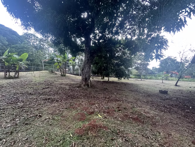 VENTA Terreno de 12354m2 en Nvo Emperador, El Carrizal AMD