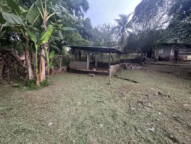 VENTA Terreno de 12354m2 en Nvo Emperador, El Carrizal AMD