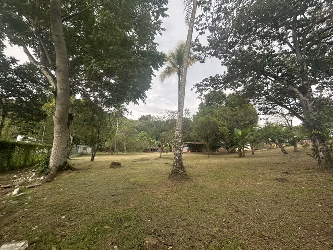 VENTA Terreno de 12354m2 en Nvo Emperador, El Carrizal AMD