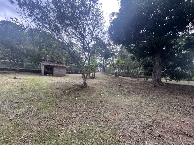 Land of 12354m2 in Nvo Emperor, El Carrizal AMD