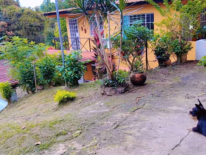 1,779 m² Terreno | 5Rec 4Baños | 2 Casas