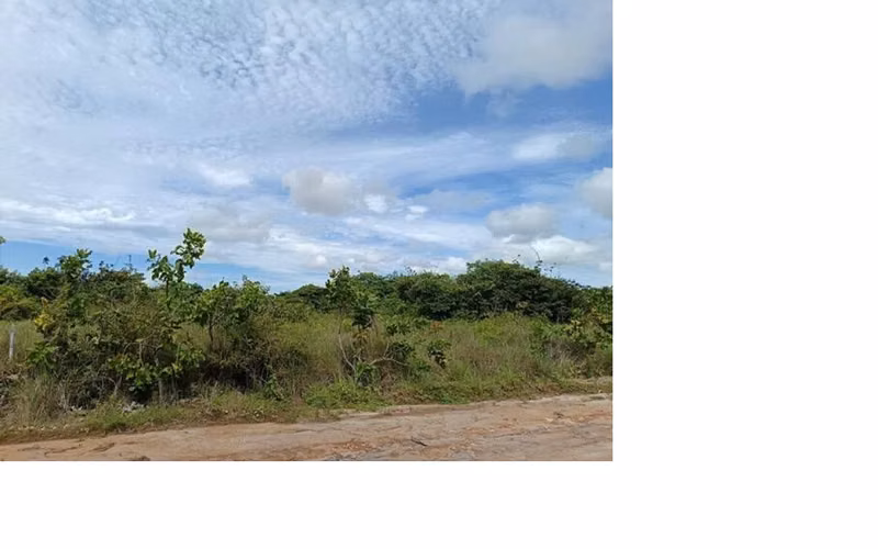 Sea Cliff. Terreno 2200mts servido $105,000.00neg - Imagen 6