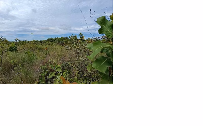 Sea Cliff. Terreno 2200mts servido $105,000.00neg - Imagen 5