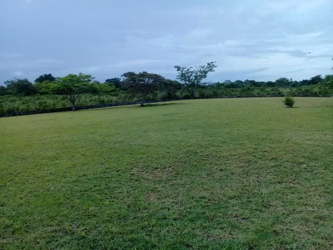 Ganga venta Finca cerca Panamericana Antón