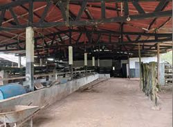 (04)Finca Campestre y Agropecuaria en Venta en La Chorrera | 12,918.23m² en Mendoza - Imagen 8