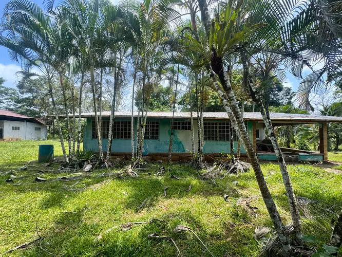 (04)Finca Campestre y Agropecuaria en Venta en La Chorrera | 12,918.23m² en Mendoza - Imagen 3