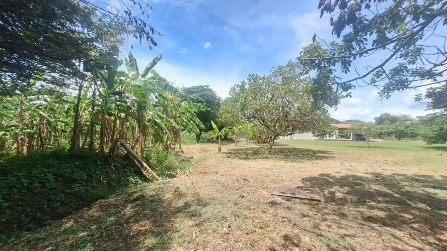 FINCA EN  ÓLA- CHURUBE COCLÉ