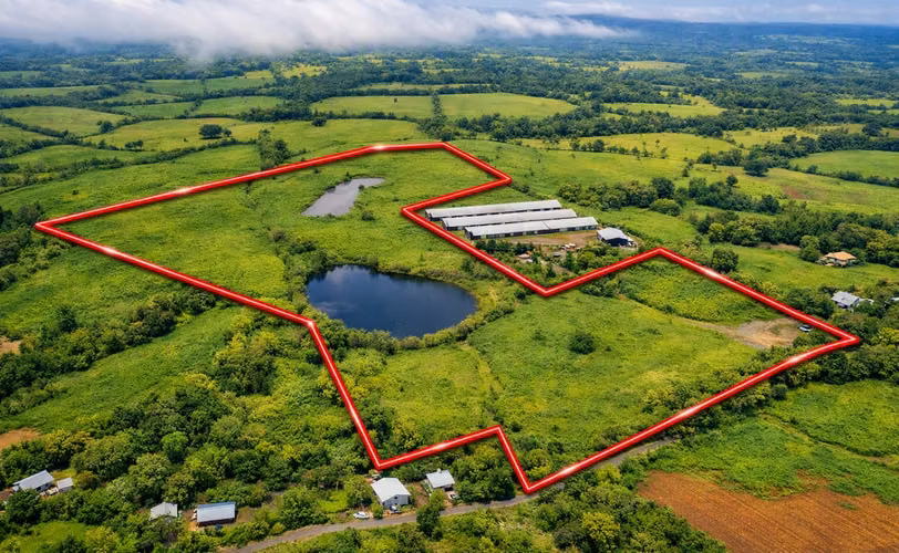 (04)Productive Farmland with Private Lakes in Mendoza, La Chorrera | 216,160.30 sq