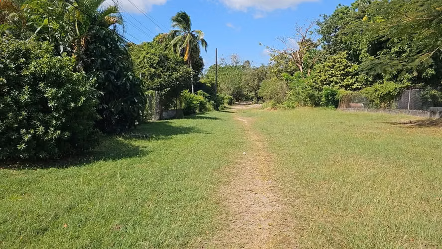 Terreno en Gorgona en Venta 2500 m2 - Imagen 16