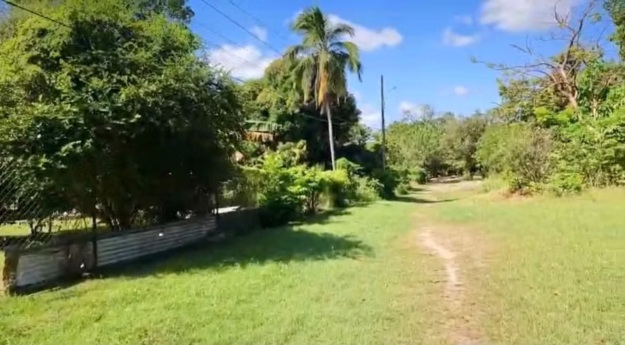 Terreno en Gorgona en Venta 2500 m2 - Imagen 3