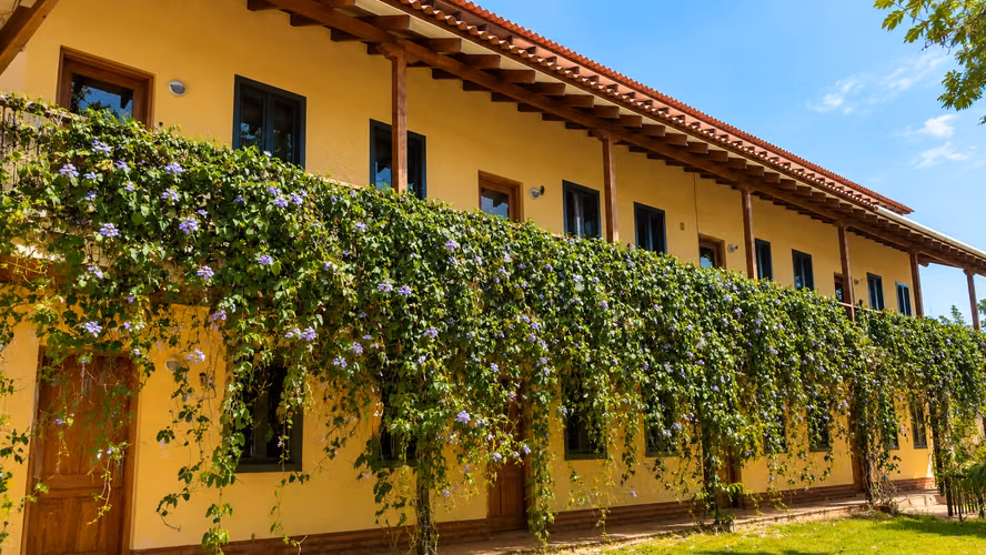 Ocho Apartamentos Amueblados con Ingresos en Pedasí