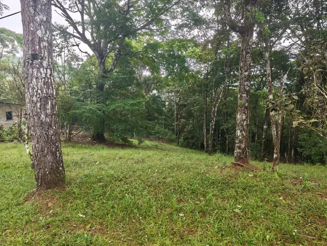 VENTA DE TERRENOS 3,200 mts2–LAS.NUBES CERRO AZUL - Imagen 6