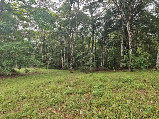 VENTA DE TERRENOS 3,200 mts2–LAS.NUBES CERRO AZUL - Imagen 14