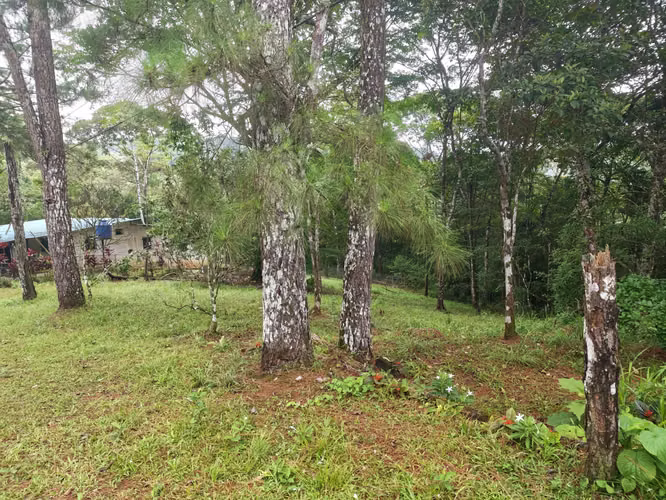 VENTA DE TERRENOS 3,200 mts2–LAS.NUBES CERRO AZUL - Imagen 10