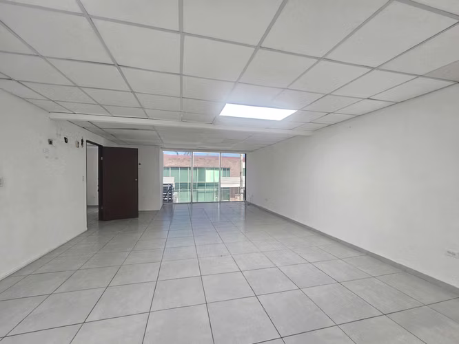 Alquiler de bodega en Tocumen, frente a las Américas - Imagen 4