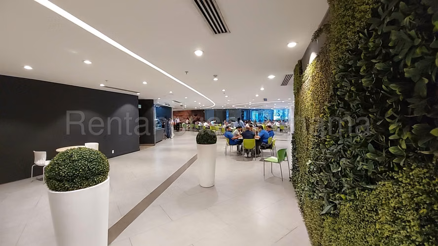 Alquiler de Oficina en Costa del Este Financial Park Solo Cliente Directo MC