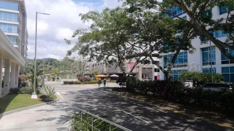 Alquiler de Galera en Panama Pacifico PanAmerica Corporate Solo Cliente Directo MC