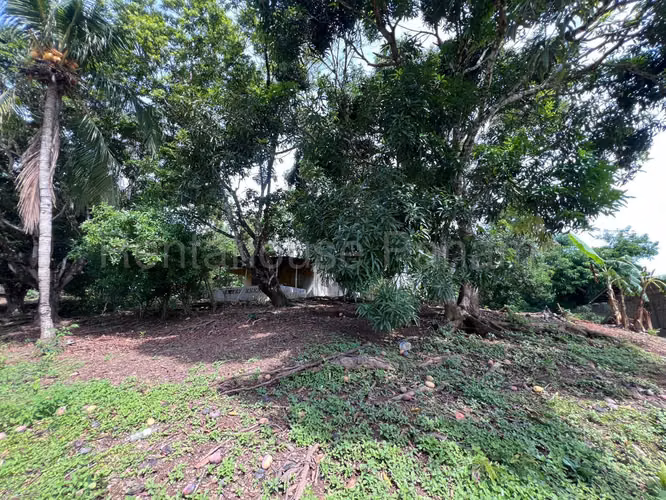Terreno en Venta en Cocle RJ