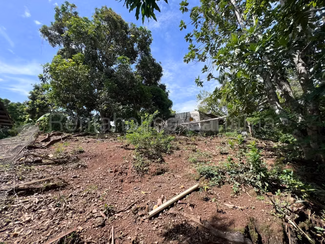 Terreno en Venta en Cocle RJ