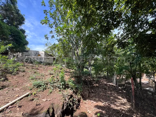 Terreno en Venta en Cocle RJ