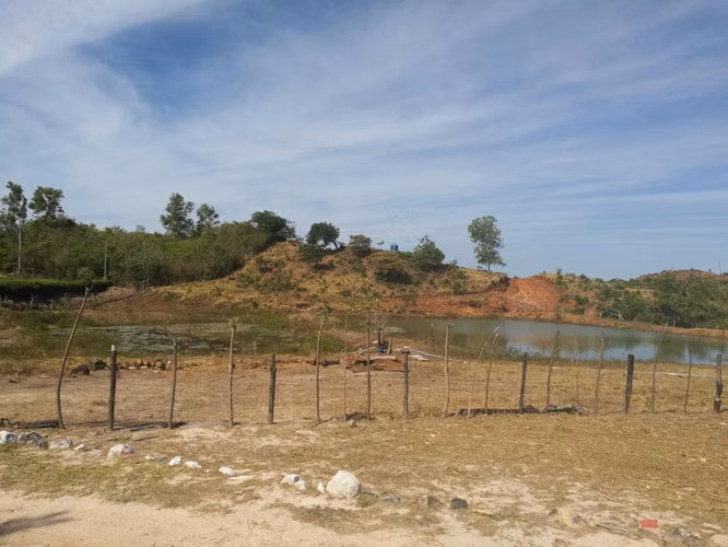 Venta de Finca en Veraguas La Coloradita - SG - Imagen 7