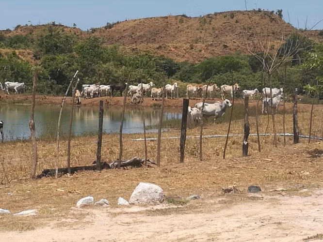 Venta de Finca en Veraguas La Coloradita - SG - Imagen 5