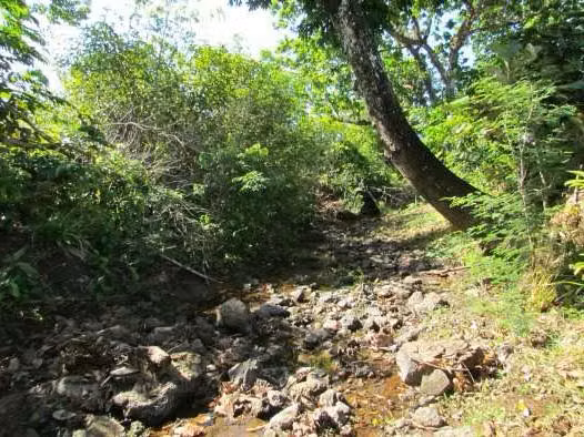 Venta de Finca en Veraguas La Coloradita - SG - Imagen 12
