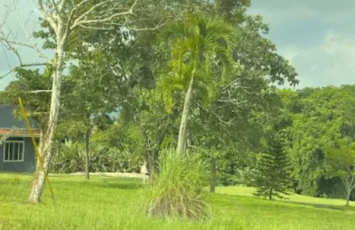 Venta de Terreno en Exclusivo Club de Golf – Panamá - Imagen 6