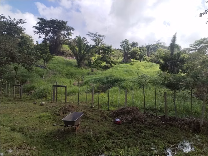 Se Venden 441 Hectáreas en Darién - Imagen 9