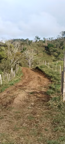 Se Venden 441 Hectáreas en Darién - Imagen 7