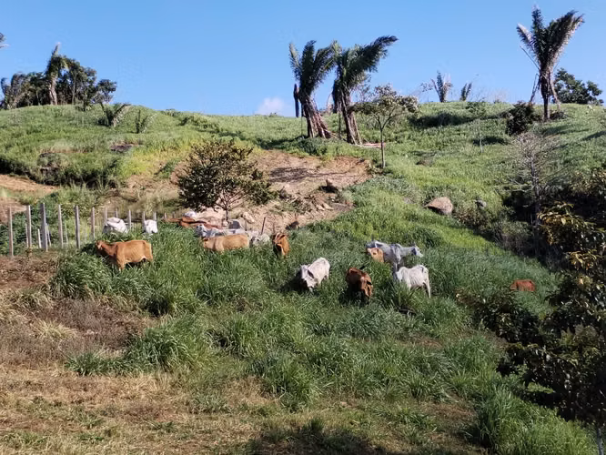 Se Venden 441 Hectáreas en Darién - Imagen 17