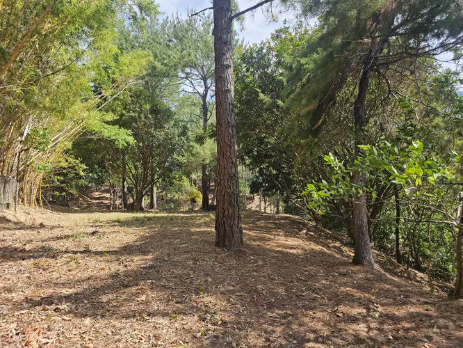 Terreno en Venta en Altos del María 129,000 - Imagen 18