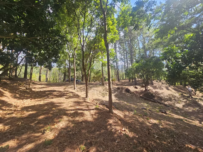 Terreno en Venta en Altos del María 129,000 - Imagen 10