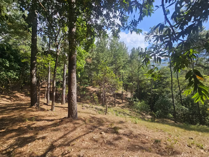 Terreno en Venta en Altos del María 129,000 - Imagen 11