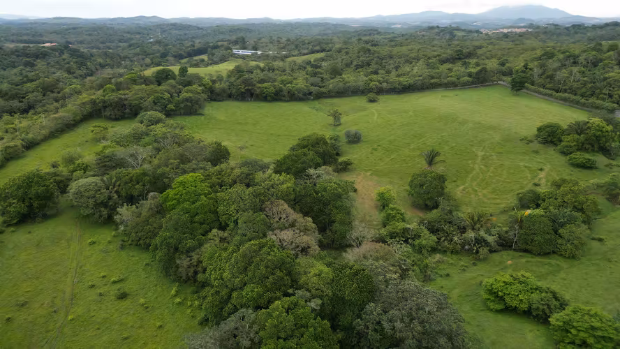 51 HECTÁREAS DE TERRENO! $3,571,715 - Imagen 17