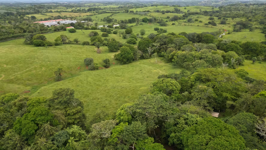 51 HECTÁREAS DE TERRENO! $3,571,715 - Imagen 2