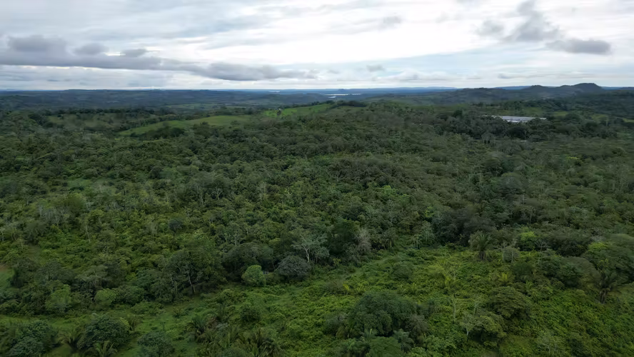 51 HECTÁREAS DE TERRENO! $3,571,715 - Imagen 13
