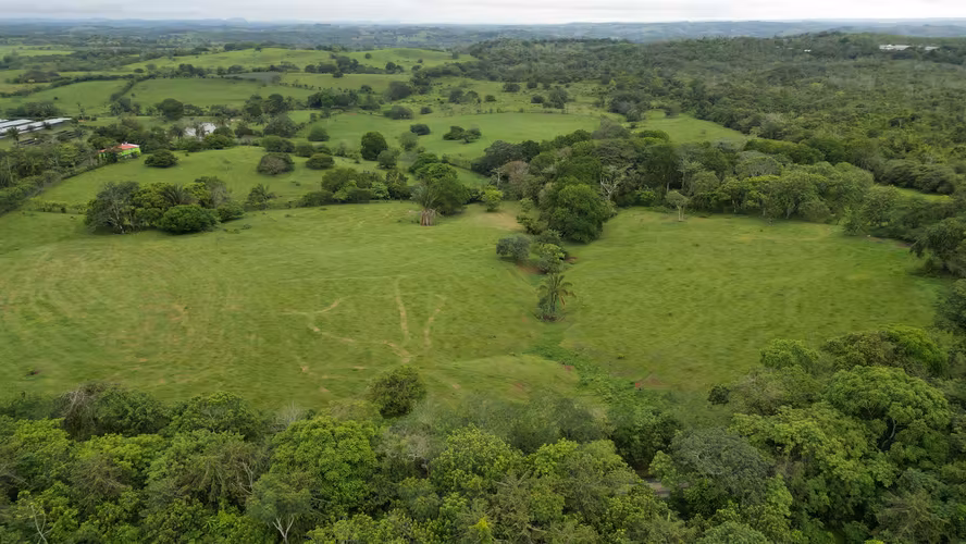 51 HECTÁREAS DE TERRENO! $3,571,715 - Imagen 7