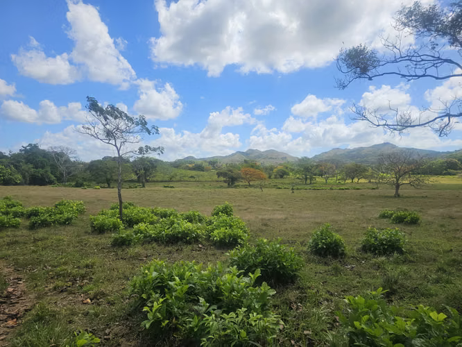 Terreno de 5,000 m² en Capira – Ideal para inversión o vivienda - Imagen 6
