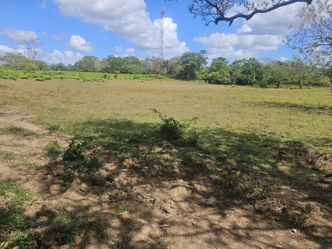 Terreno de 5,000 m² en Capira – Ideal para inversión o vivienda - Imagen 12