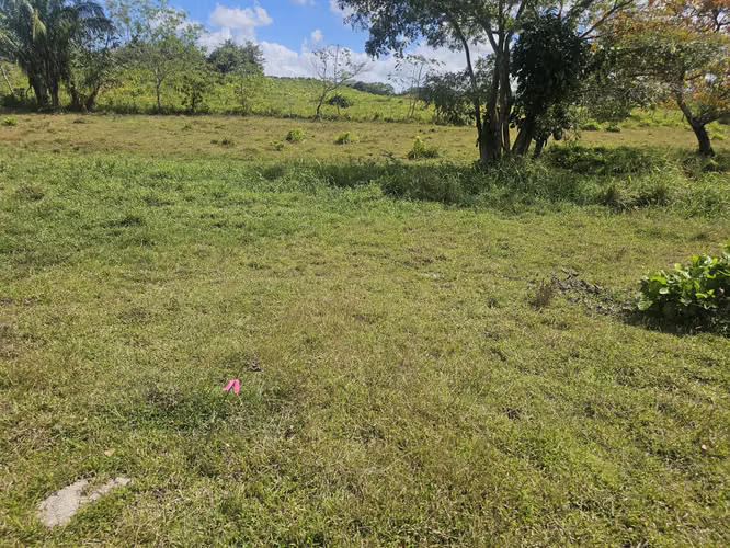 Terreno de 5,000 m² en Capira – Ideal para inversión o vivienda - Imagen 11