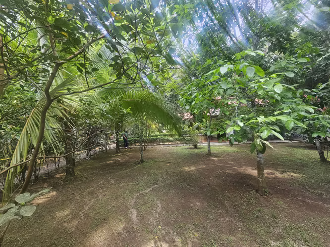 TERRENO EN VENTA EN ÁREAS REVERTIDAS DEL CANAL DE PANAMÁ | 1,221.81 m² | $496,232 - Imagen 6