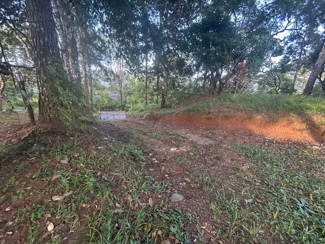 VENTA Terreno de 1511m2 en Cerro Azul AMD - Imagen 15