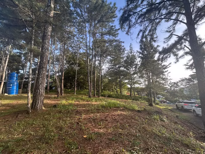 VENTA Terreno de 1511m2 en Cerro Azul AMD - Imagen 6